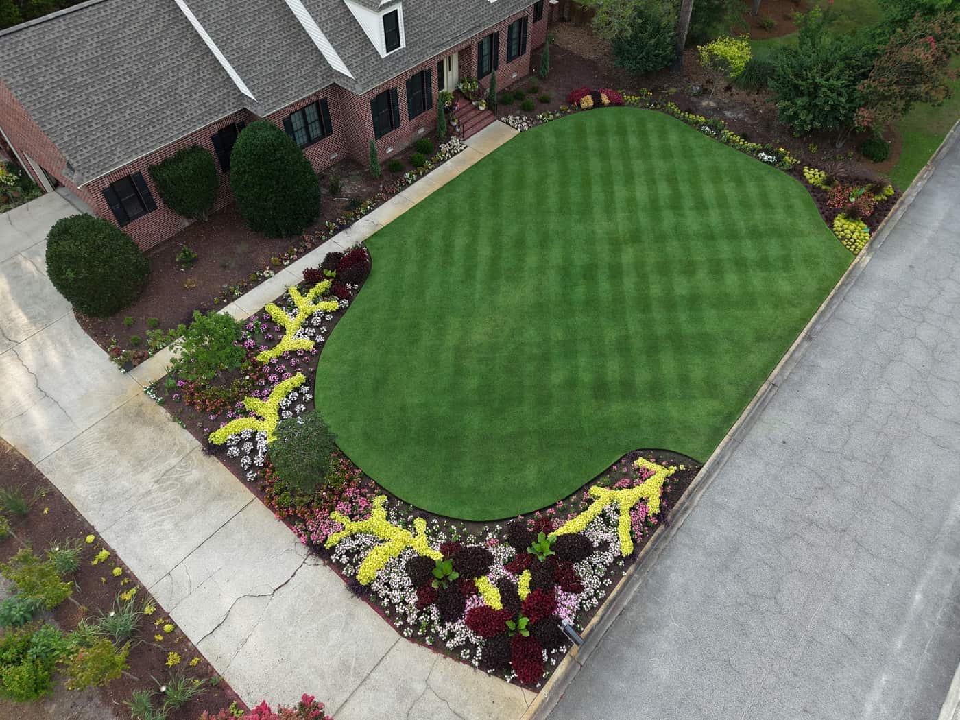 Overhead view of a striped front lawn and curved seasonal color beds at a brick home in Brigadoone