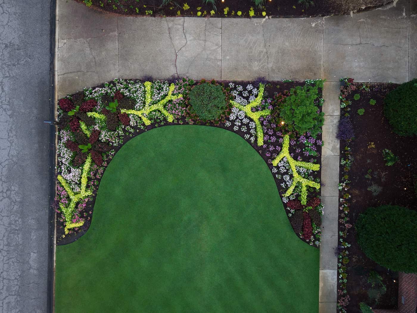 Overhead of the curved color bed wrapping the lawn beside the walk and drive