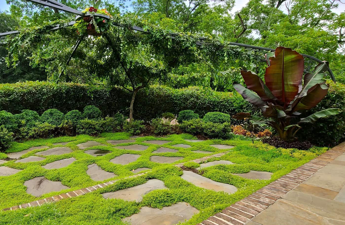Coit Street Lawn and Garden Maintenance in Downtown Florence, photo 1