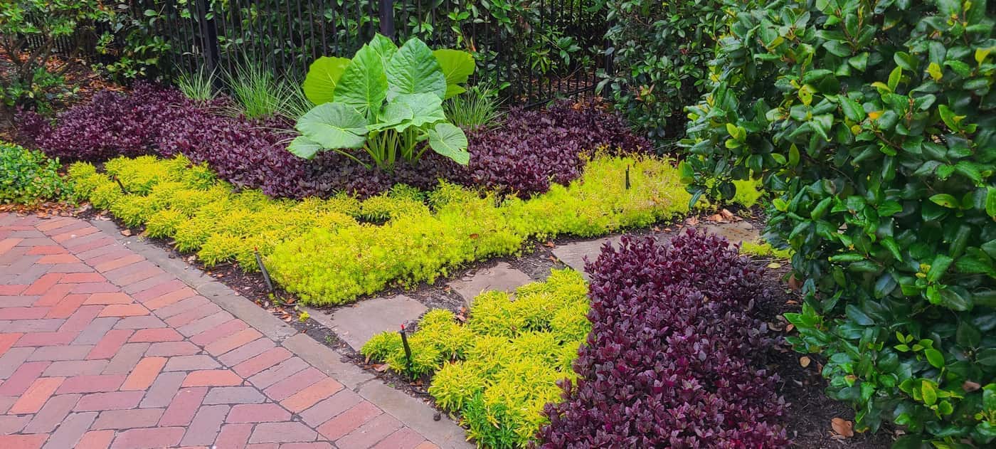 Coit Street Lawn and Garden Maintenance in Downtown Florence, photo 3