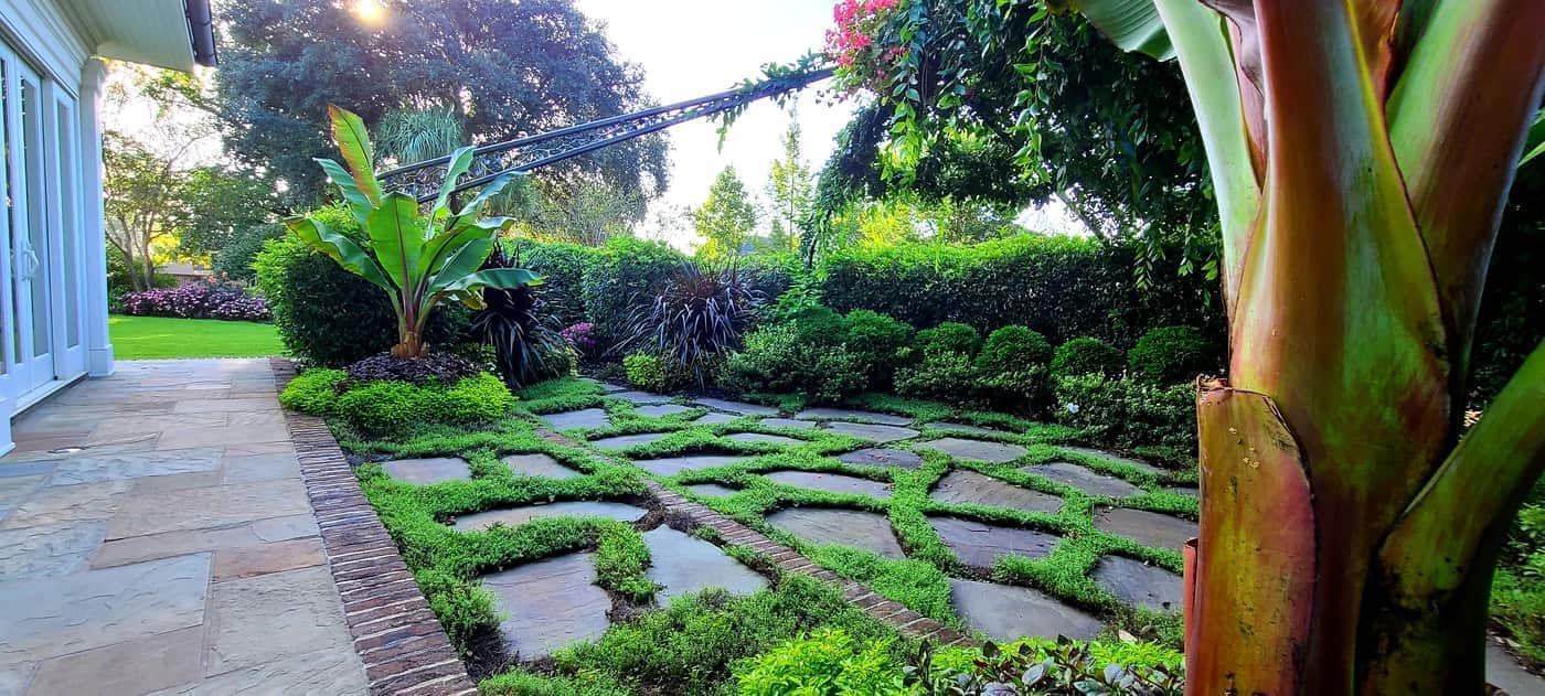 Coit Street Lawn and Garden Maintenance in Downtown Florence, photo 6