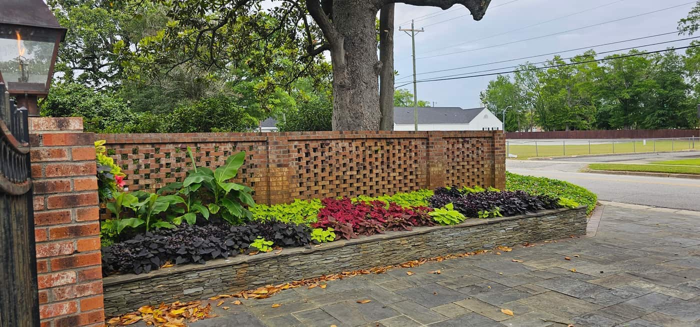 Coit Street Lawn and Garden Maintenance in Downtown Florence, photo 7