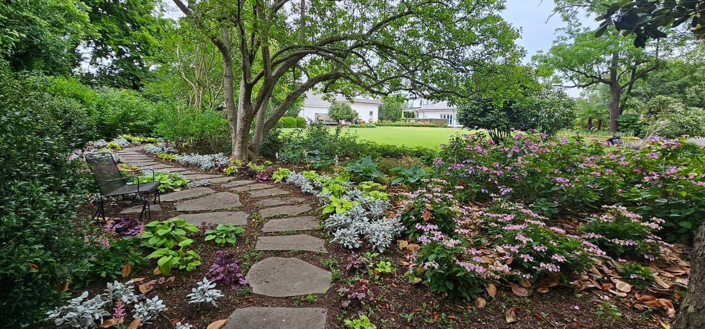 Coit Street Lawn and Garden Maintenance in Downtown Florence, photo 8