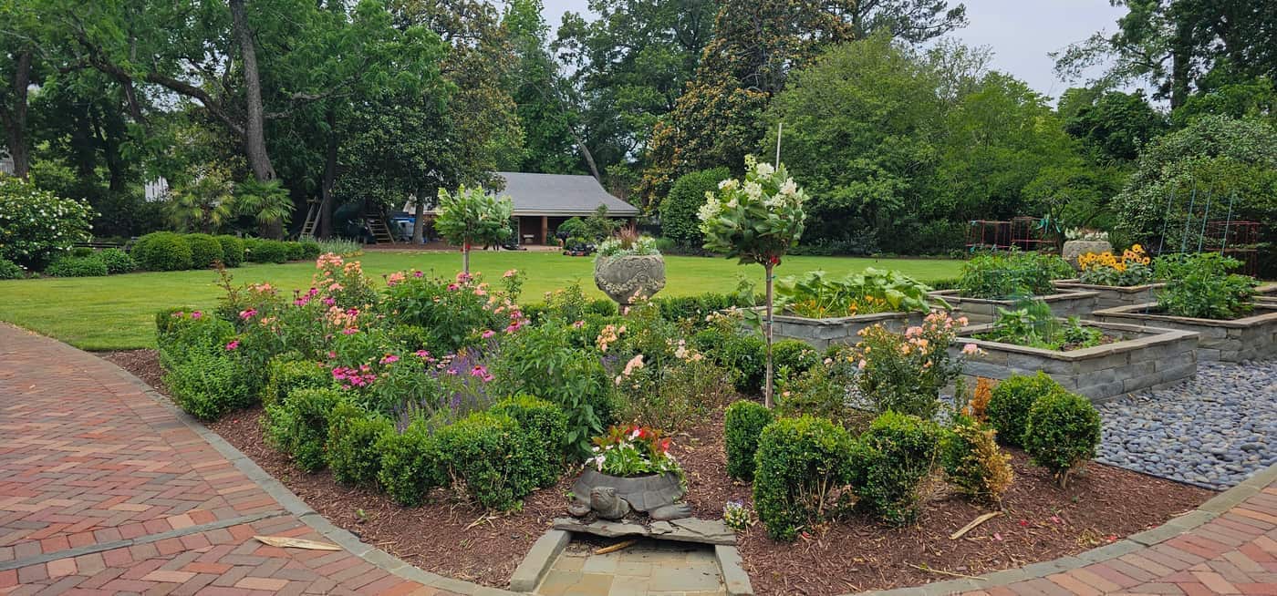 Coit Street Lawn and Garden Maintenance in Downtown Florence, photo 9