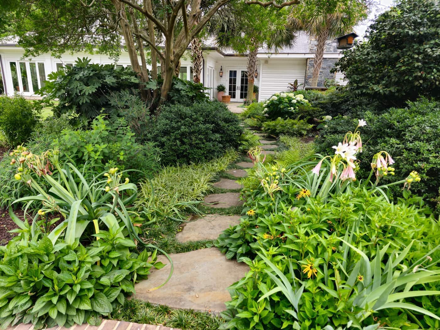 Coit Street Lawn and Garden Maintenance in Downtown Florence, photo 11