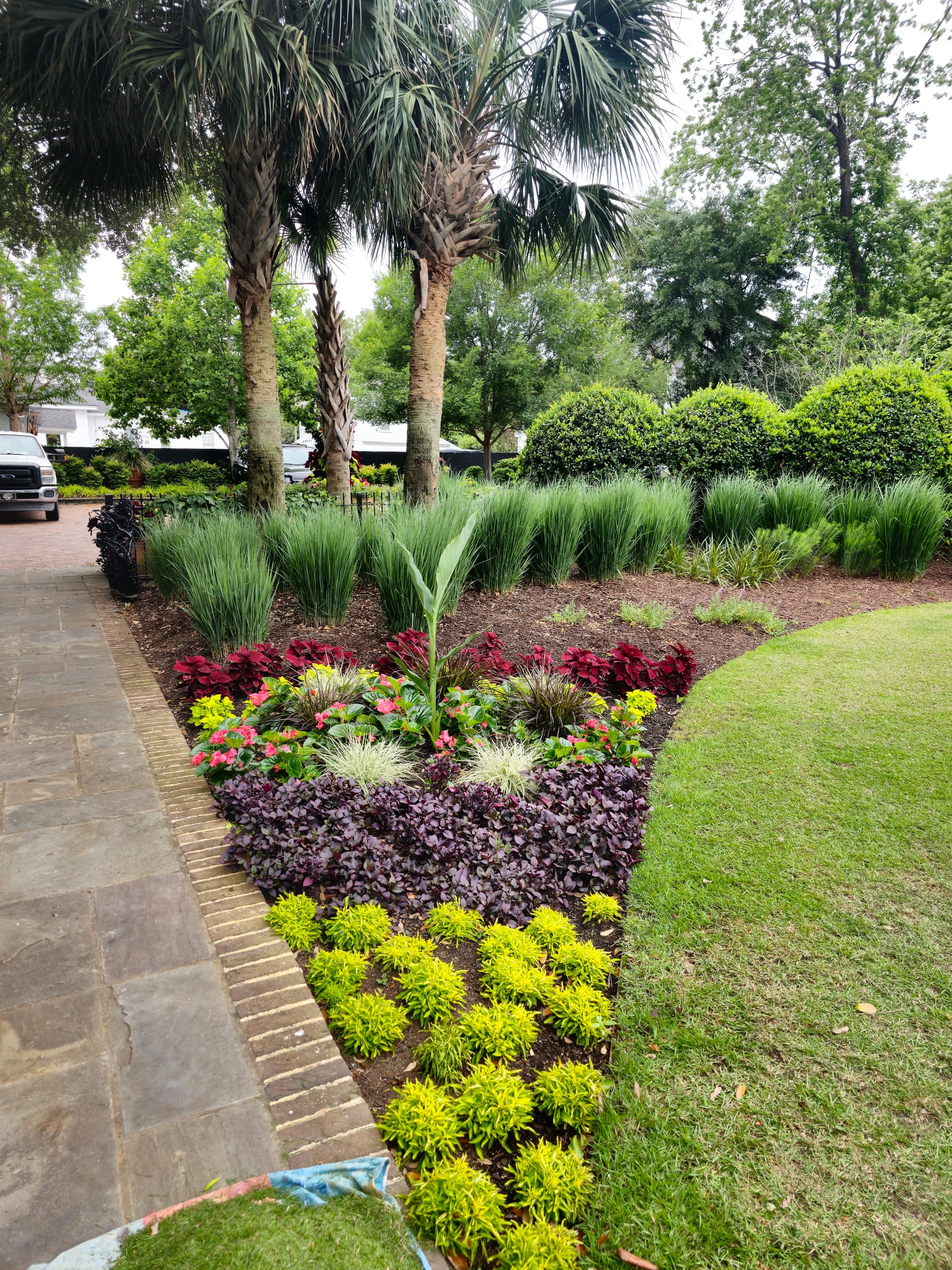 Seasonal color planting with coleus, begonias, and chartreuse groundcover