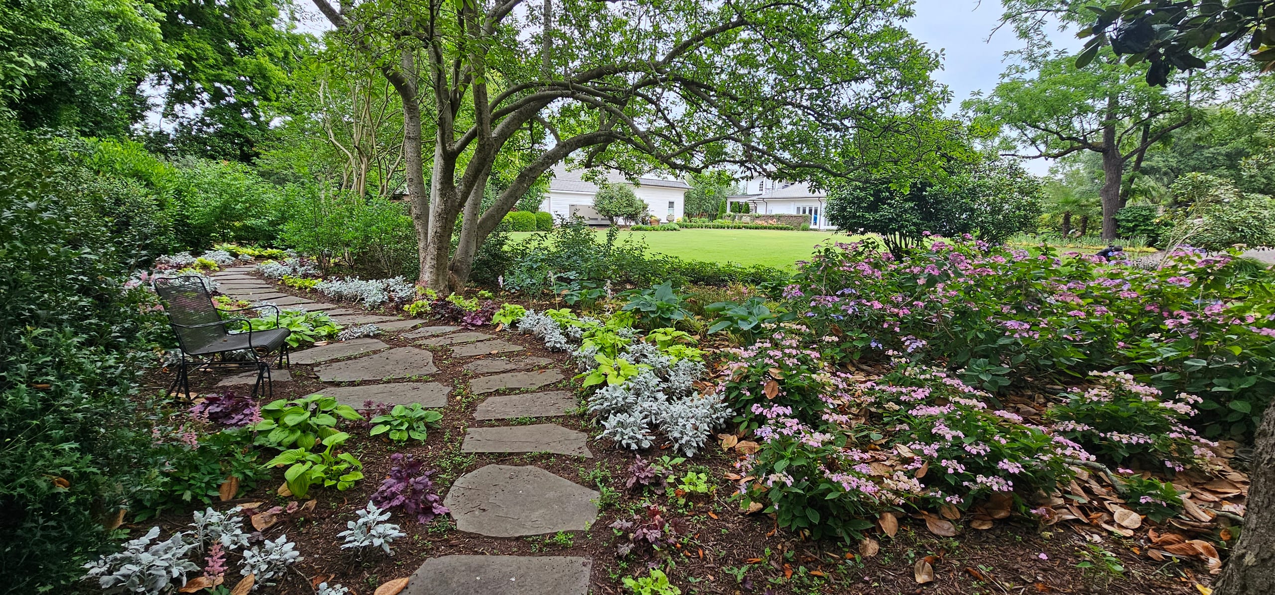 A flagstone garden path through hostas, silver foliage, and flowering beds