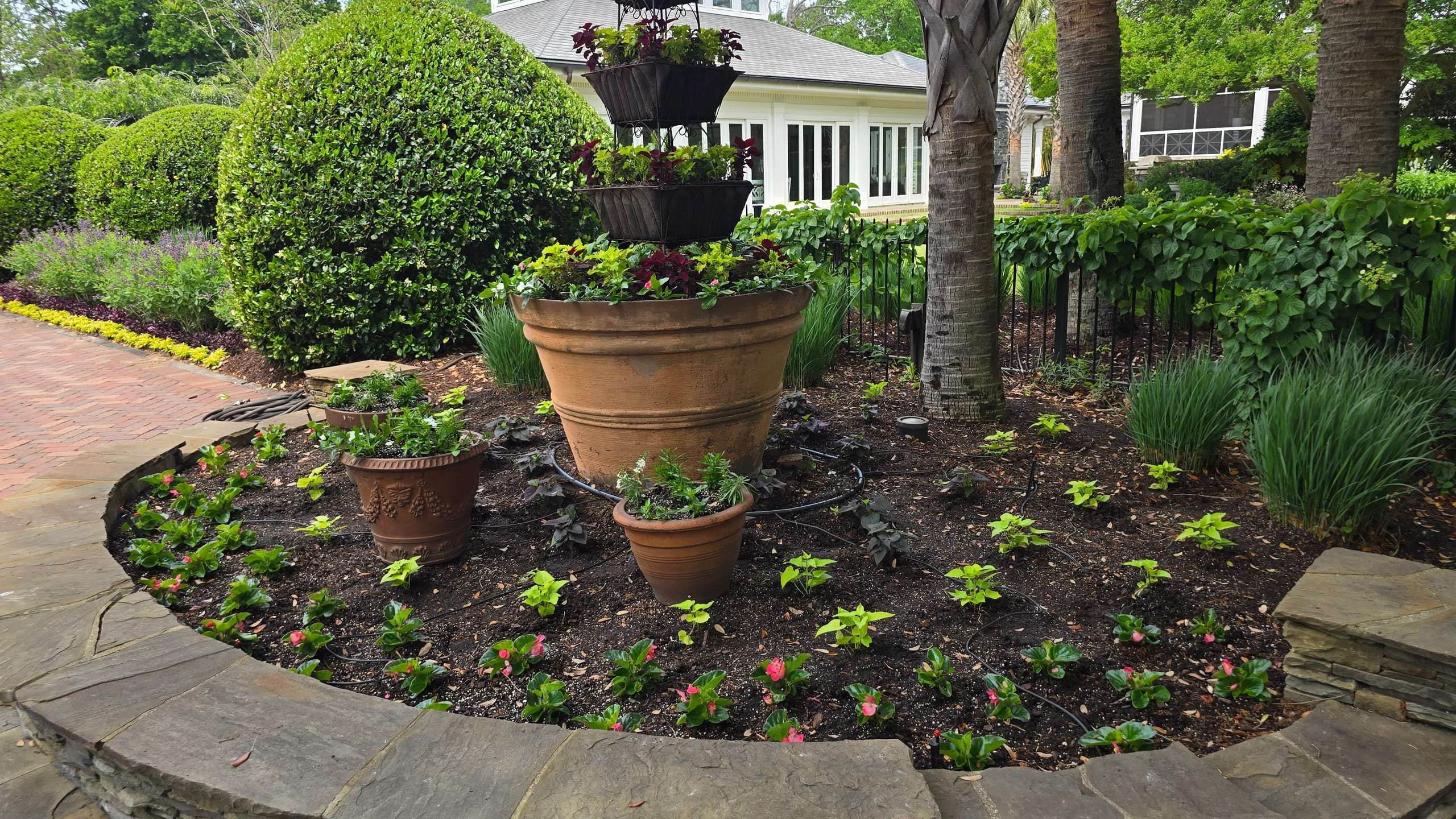 Drip irrigation in a stone planter with pots and seasonal plantings