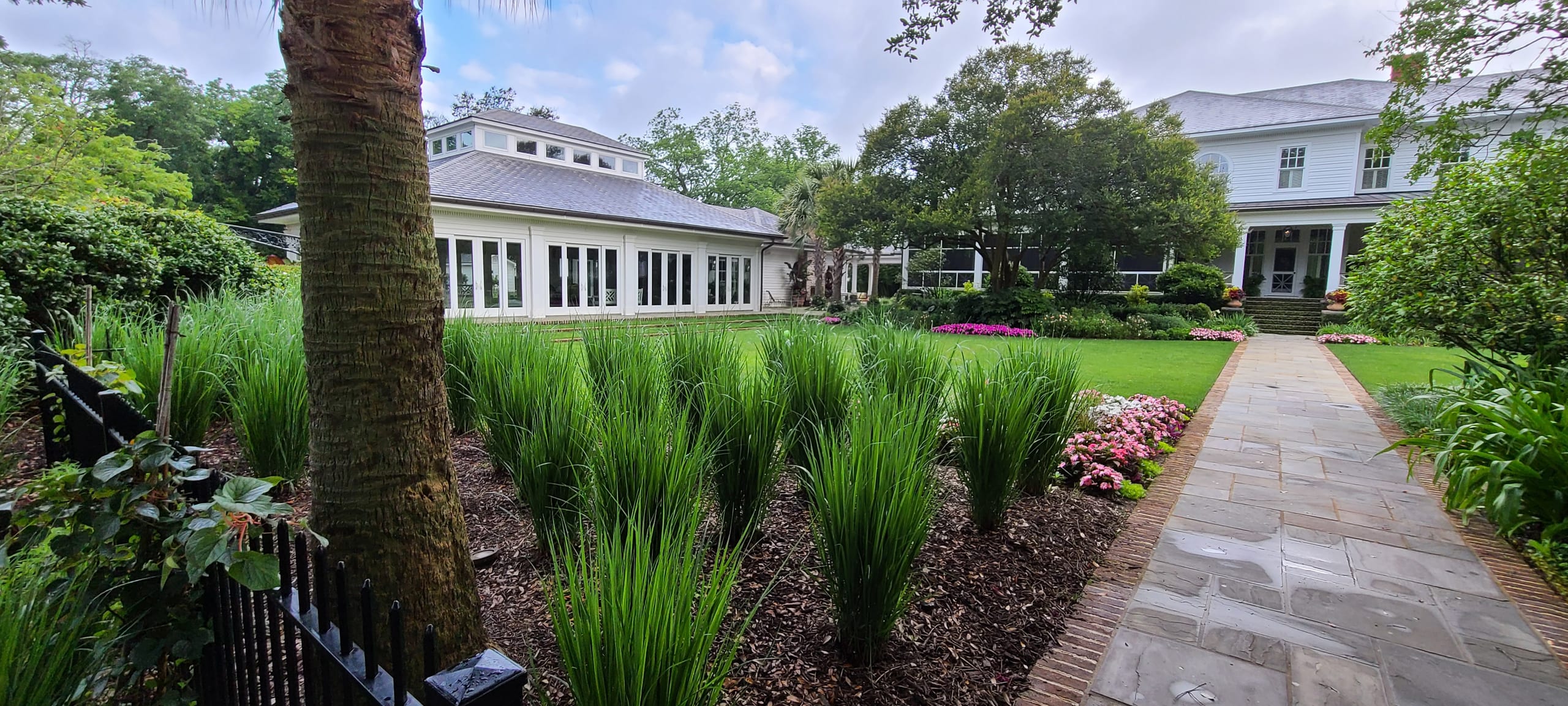 A mulched planting bed of irises beside a stone walk