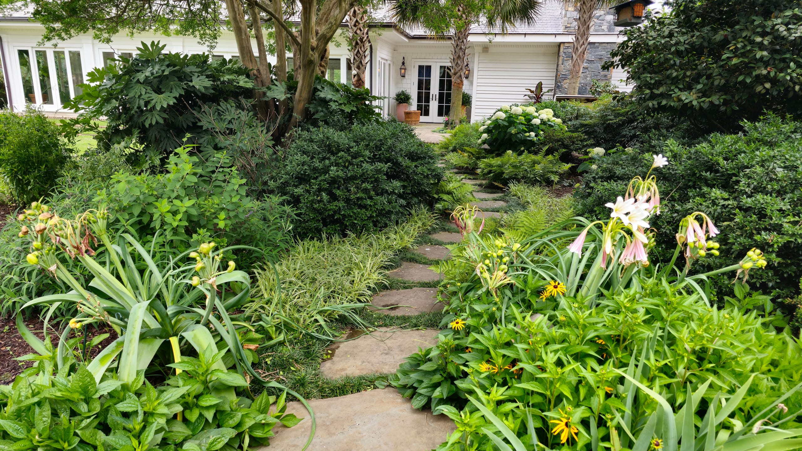 Stepping-stone garden path through lush planting to a white Florence home