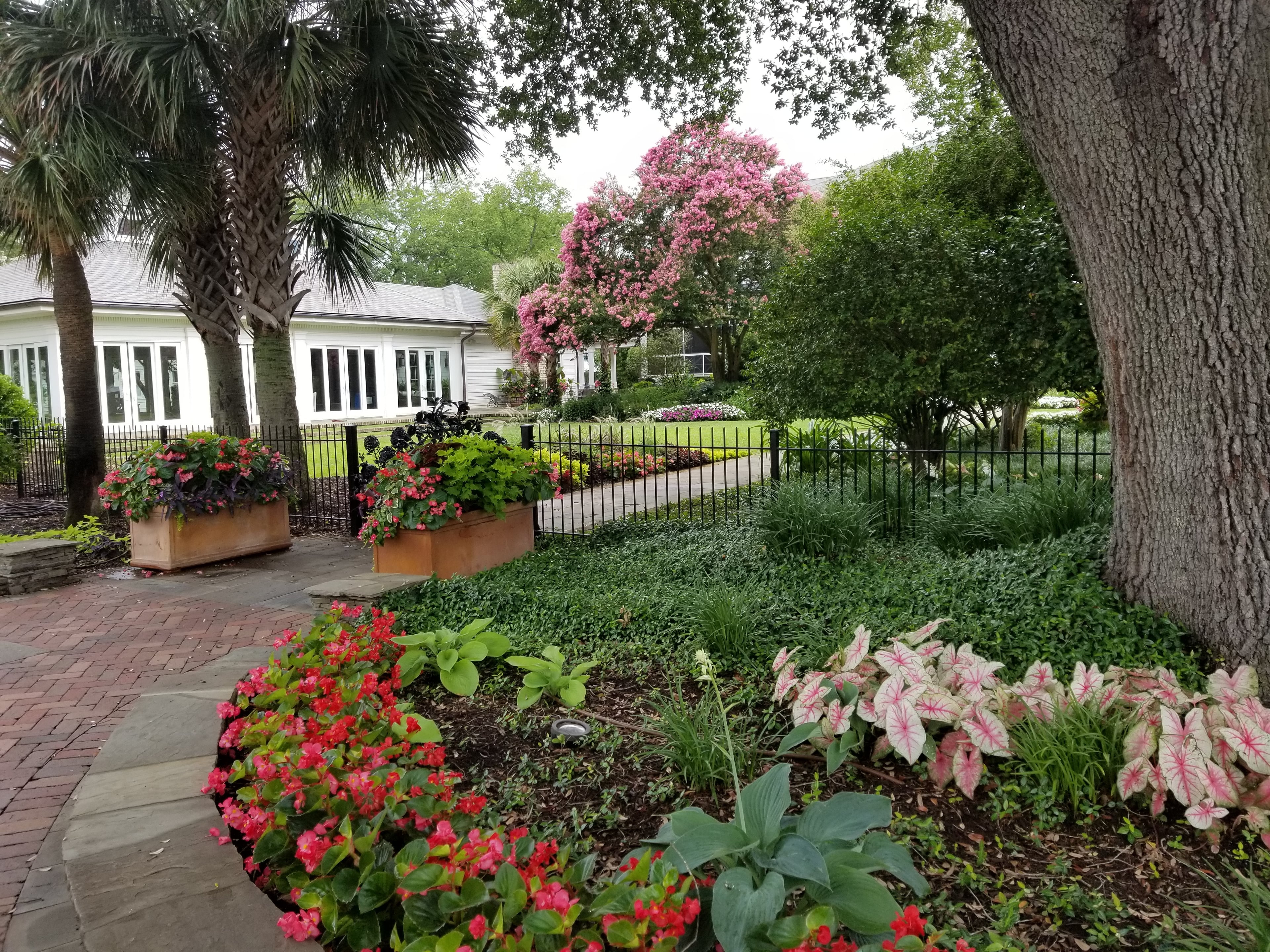 Estate garden with seasonal color, palms, and a brick walk