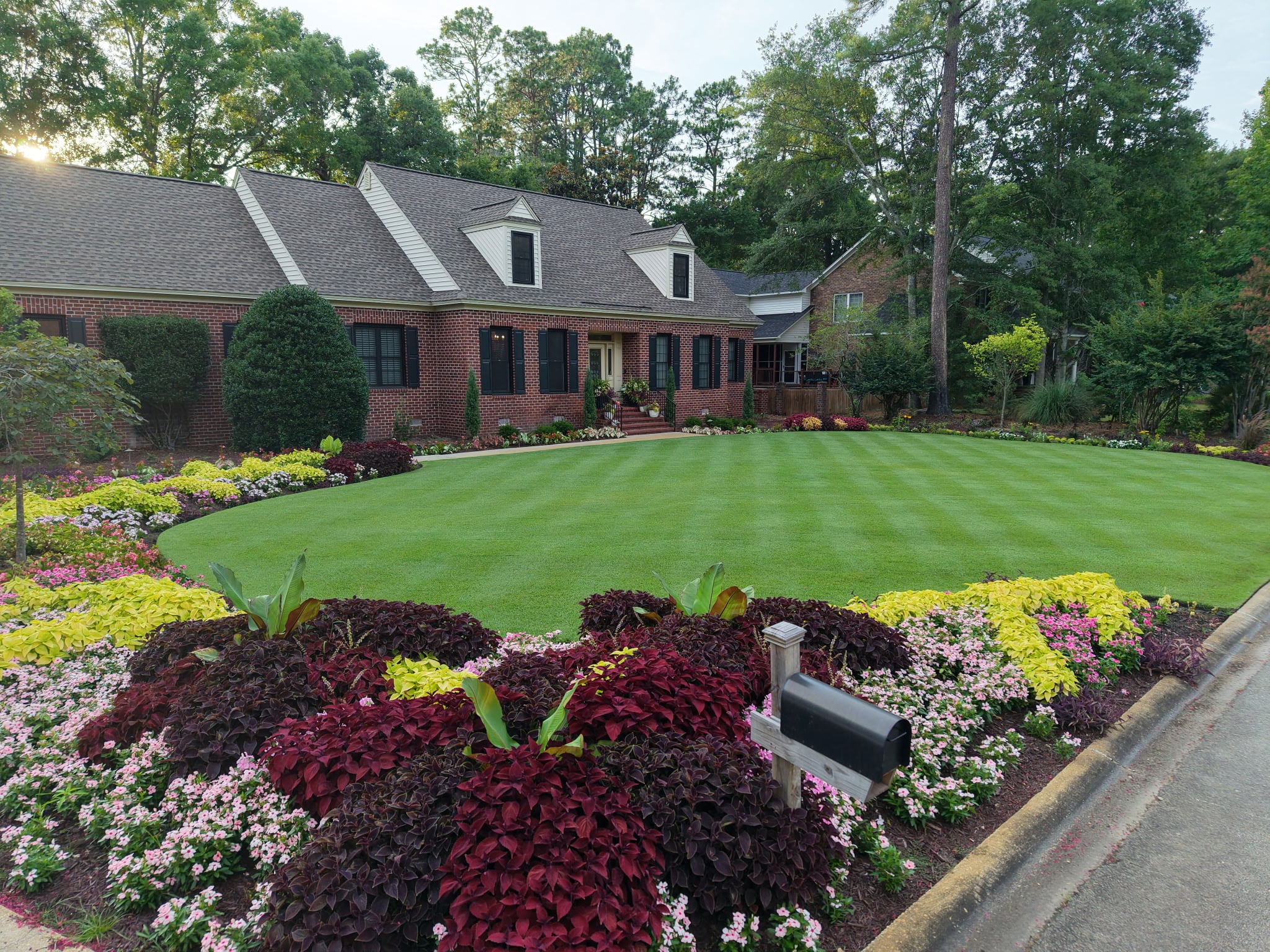 Finished front yard with planting beds and a striped lawn