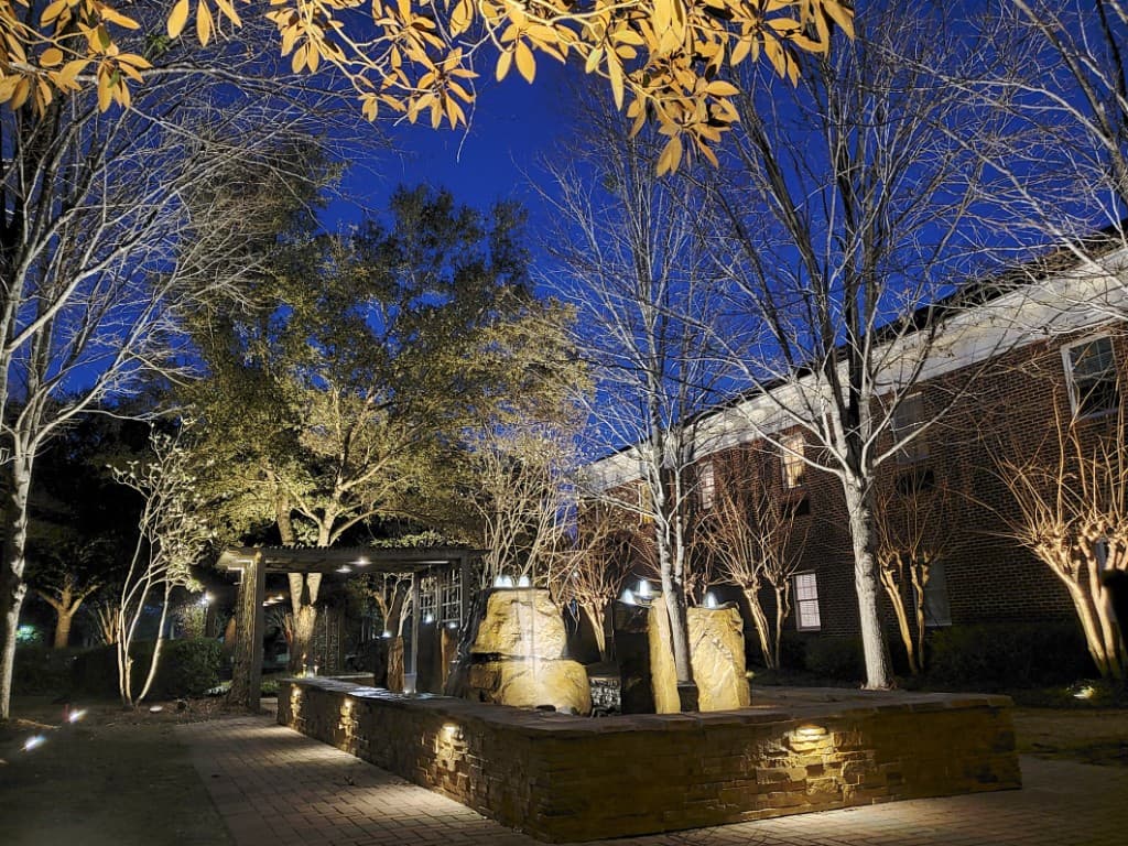 Uplighted trees and a lit water feature in a courtyard after dark
